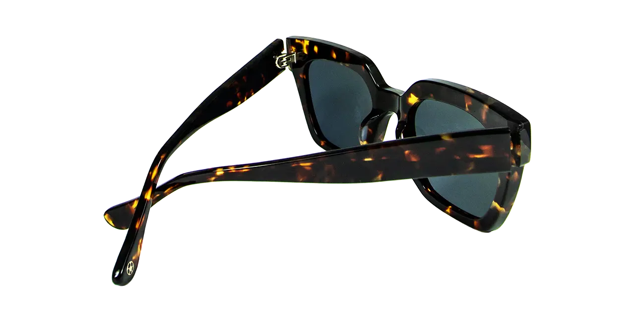 AIT03-Havana-Posterior_9077